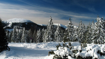 Quel hiver aurons-nous ?