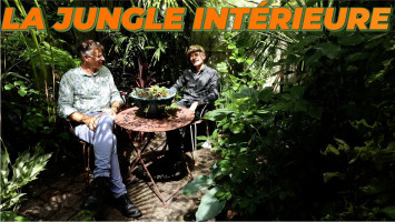 Faire une JUNGLE de POTS ? avec Evor de Jungle Intérieure — Inspiration ep.1