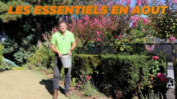 LES ESSENTIELS DANS LE JARDIN AU MOIS D'AOÛT