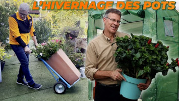 L'HIVERNAGE DES PLANTES EN POT avec Roland Motte