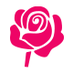 Couleur floraison : Rose
