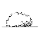 Compact Dense